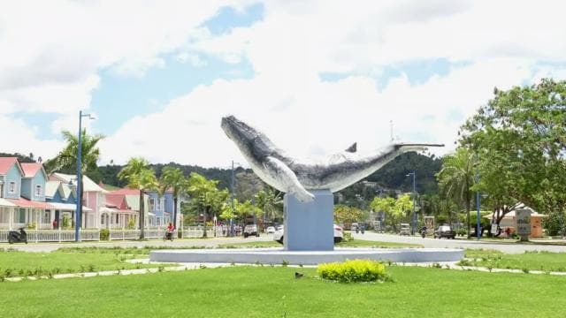 Punta Cana: Playa Rincon, Samana, & Cayo Levantado Day Trip - Photo 3 (Gallery view)
