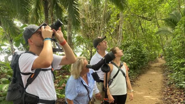 Cahuita: Guided Hike Through Cahuita National Park