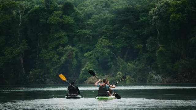 Tortuguero: Kayak adventure through the rainforest canals.