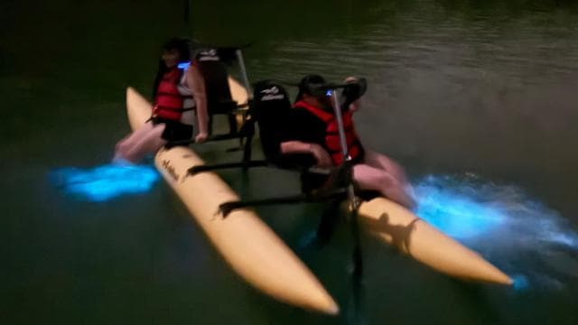 La Parguera: Bioluminescent Bay Chiliboats Waterbike Tour - Photo 4 (Gallery view)