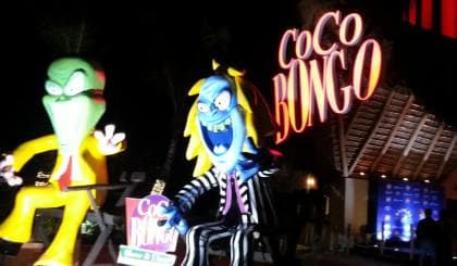 Coco Bongo Disko - Photo 5 (Gallery view)