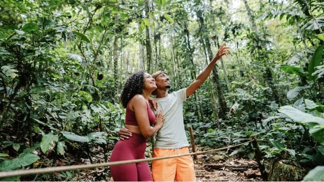 Puerto Viejo Limón: Birdwatching Tour at Nativo Park