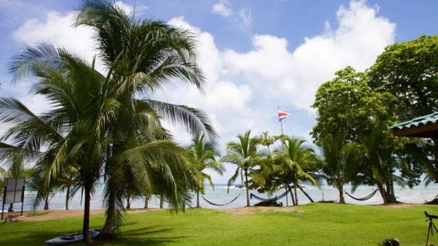 Corcovado National Park: Guided Hiking Tour - Full Day