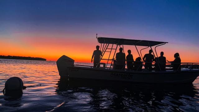 La Parguera: Sunset and Biobay or Late Night Biobay Cruise