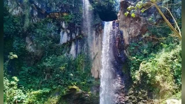 Tamarindo: Zip Line, Horseback Riding & Natural Spa Day Tour