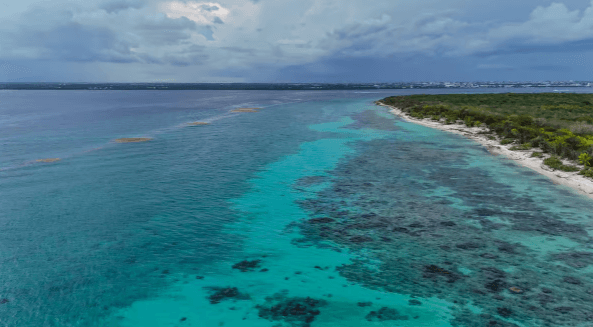 Isla Catalina desde Punta Cana: todo incluido, más exclusiva que Saona - Photo 2 (Gallery view)