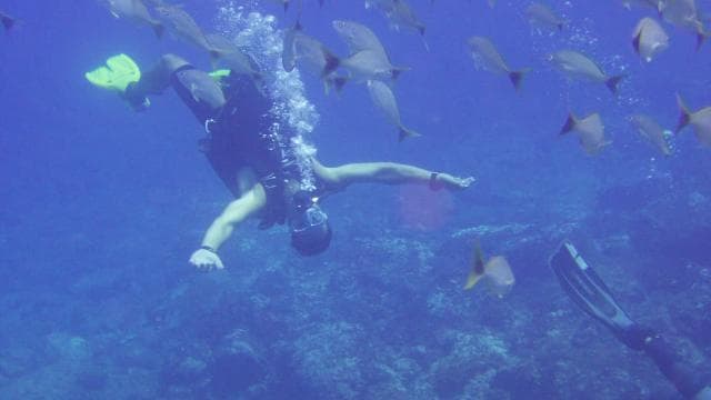 Guanacaste: Discover Scuba Dive Day in Papagayo Gulf - Photo 4 (Gallery view)