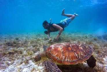 Full-Day Snorkeling Tour to Catalina Island - Photo 3 (Gallery view)