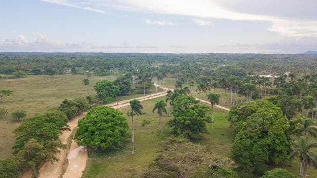 Punta Cana: Aufregendes Offroad-Buggy-Abenteuer - Photo 5 (Gallery view)