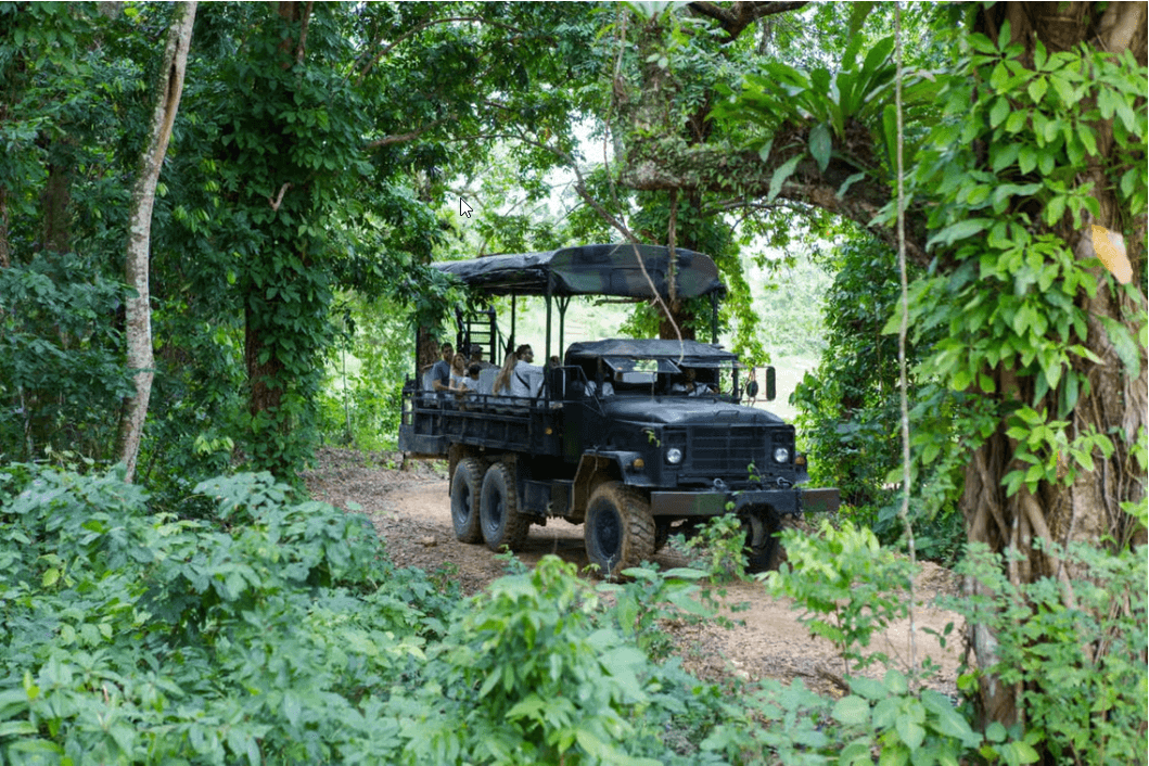 Punta Cana: Zipline, Chairlift, Buggy & Horse Ride Adventure - Photo 3 (Gallery view)