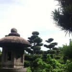Santo Domingo: Natural Treasures of the City