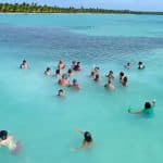Saona Island Tour From Santo Domingo with Lunch and Pickup - Photo 3 (Gallery view)