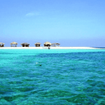 Cayo Arena: Paradise Island Tour Sosua o Cabarete - Photo 2 (Gallery view)