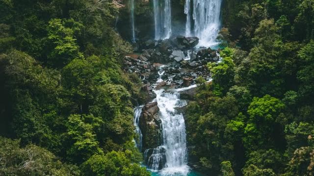 Nauyaca-Wasserfall: Shuttleservice, Parkticket und Mittagessen - Photo 2 (Gallery view)