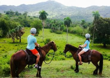 VIP DayPass | ATV's, Zip Lines, Horse Riding| Hotel & Cruise - Dominican Republic