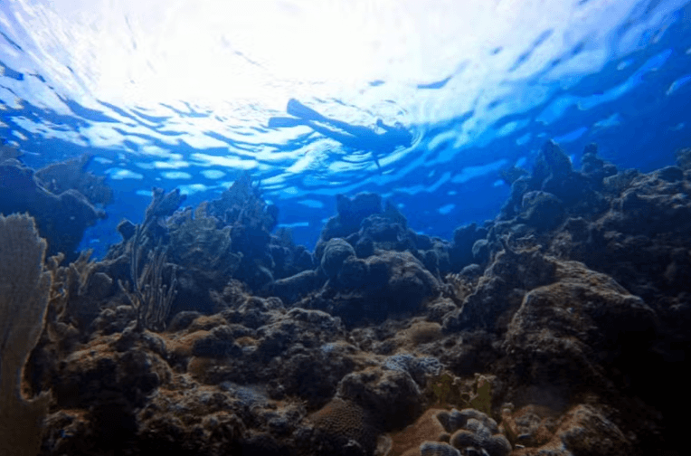 Playa Coral Scuba Diving