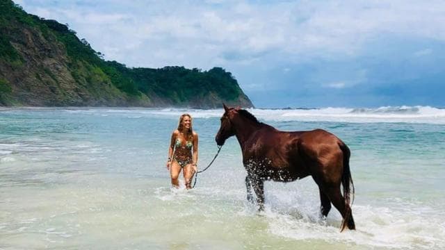 Guanacaste: Safari & Buenavista Beach Horse Riding Tour