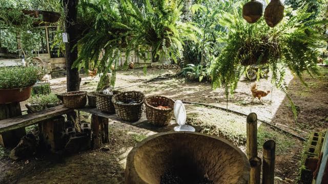 La Fortuna: Local Coffee Tour Experience