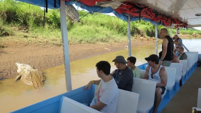 Tarcoles River: Jungle Crocodile Safari & Bird Watching Tour