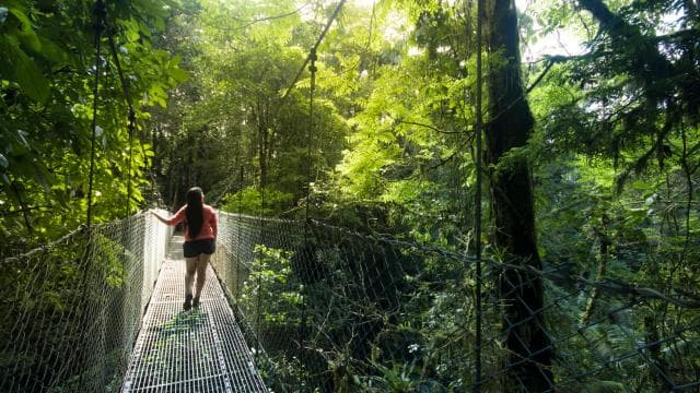 Arenal National Park: Hanging Bridges Small Group Tour