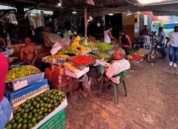 Punta Cana Cultural Tour History and Traditions Small Group