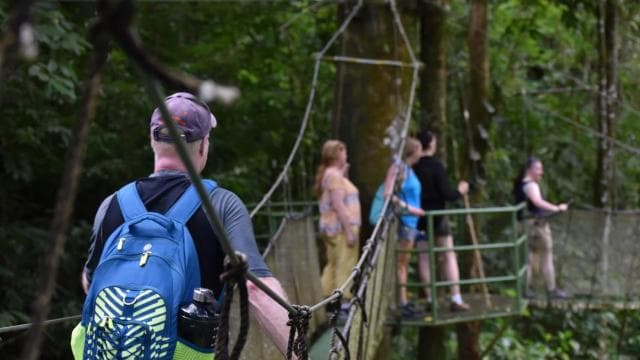 Manuel Antonio: Hanging Bridges and Waterfall Tour - Photo 4 (Gallery view)