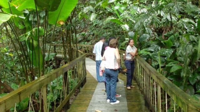 Puerto Limon: Veragua Rainforest & Tortuguero Canal Cruise