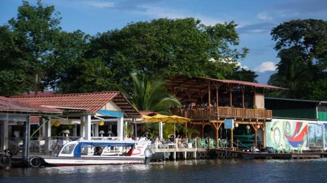 Motorboat Tour in Tortuguero National Park **BEST SELLER** - Photo 2 (Gallery view)