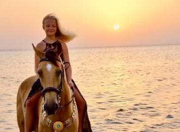 Makadi Bay: Horse Riding in Desert & Sea w Guide + Transfers