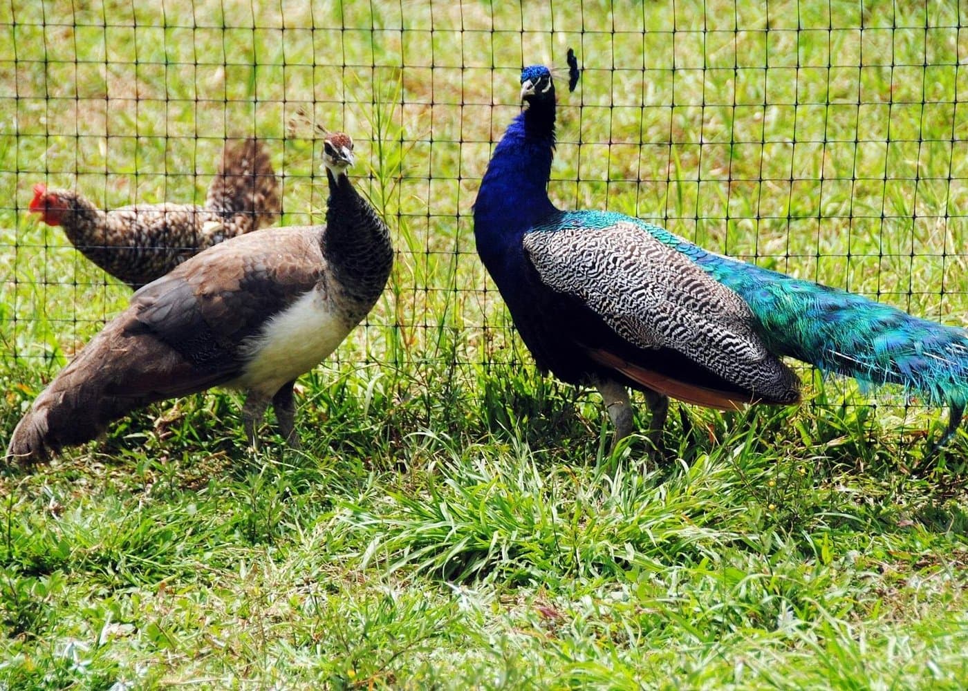 Punta Cana: Xploration Animal Park Bus Tour with Encounters - Photo 5 (Gallery view)