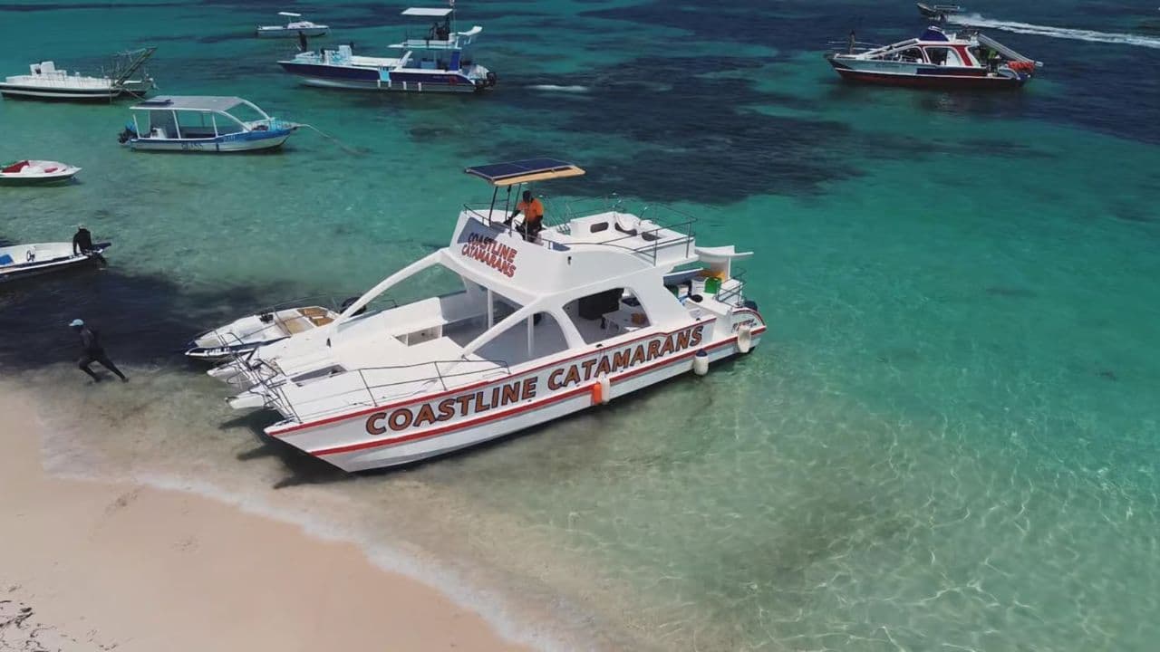 Punta Cana :Catamaran with Open Bar and Dolphin and Stingray Watching