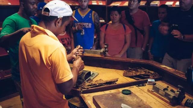 Punta Cana: Samaná Whale Watching and El Limón Day Tour