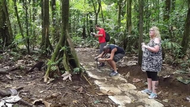 Papagayo Gulf: Rio Celeste Waterfall & Sloth Encounter Tour