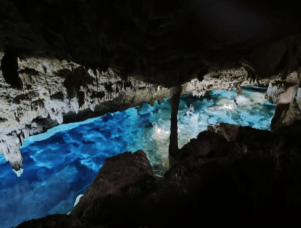 Bayahibe: National Park Jungle Walk & Snorkeling in Cenotes - Photo 2 (Gallery view)