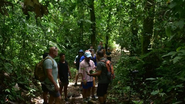 Costa Rica: Tour La Fortuna Waterfall and Volcano Hike