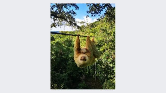 San Jose: Zipline La Carpintera Tour