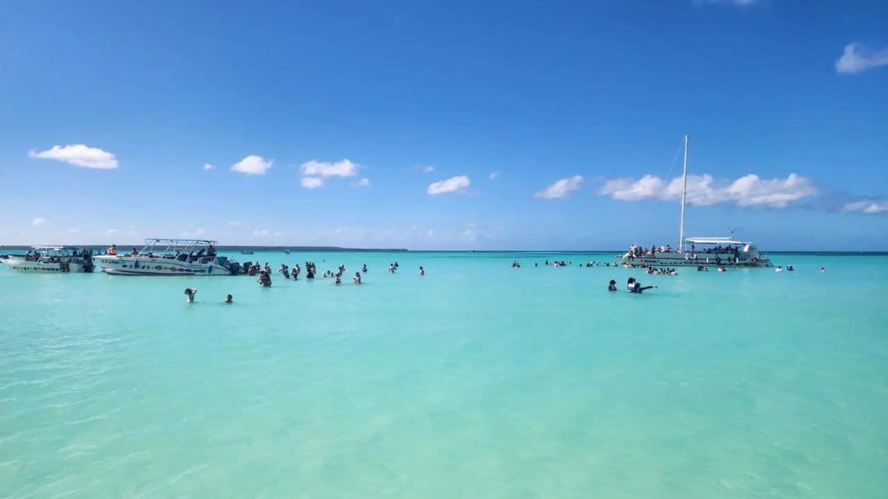 All-Inclusive-Tagesausflug zur Insel Saona ab Punta Cana - Photo 2 (Gallery view)