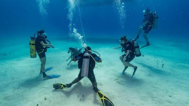 Punta Cana: rejs po wyspie Catalina z nurkowaniem i lunchem - Photo 5 (Gallery view)