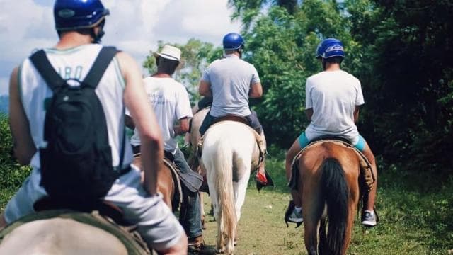All-Inclusive Day Trip from Punta Cana: DR Culture Immersion