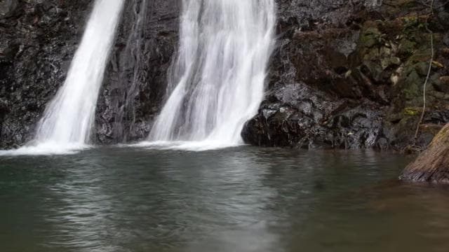 Jaco Beach: 10 Hidden Waterfalls Guided Experience