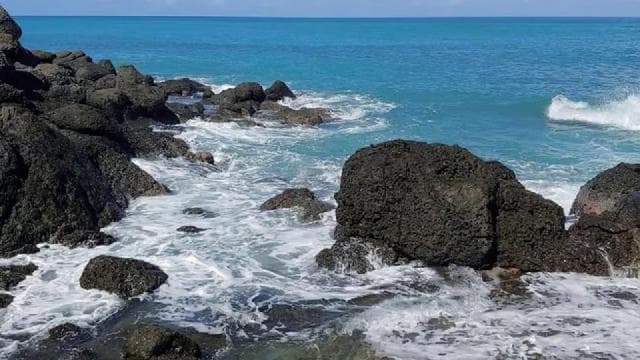 Fajardo: Hidden Beach and Mangrove Tour