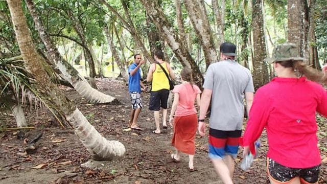 From Manzanillo: Cahuita Snorkel and Rainforest Hike