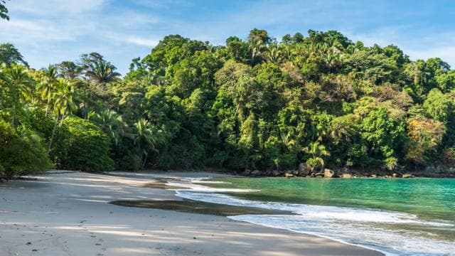 San Jose: Manuel Antonio National Park Day Trip with Lunch - Photo 5 (Gallery view)