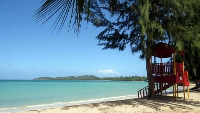 Puerto Rico: UTV and Can-Am Sightseeing Tours