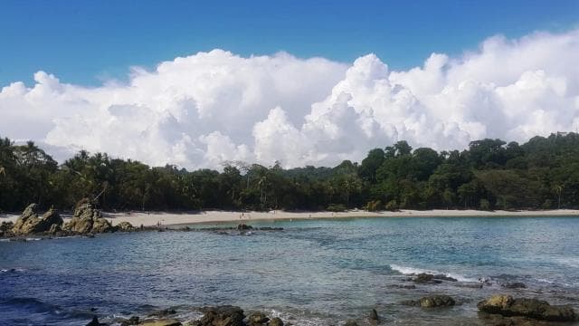 Manuel Antonio National Park Combo Tour from San Jose