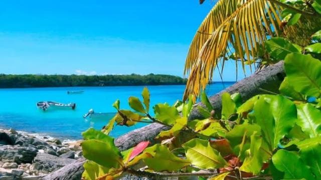 La Romana: Catalina Island Day Trip with Lunch & Drinks
