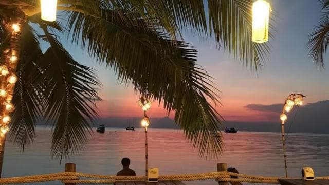 From Puntarenas: Bioluminiscence Boat Tour with BBQ & Drinks