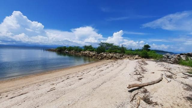 From Jaco: Bioluminiscence Boat Tour with BBQ & Drinks