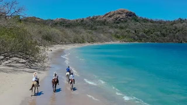 2 Hours Beach Horseback Riding