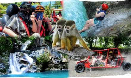 Puerto Plata: Monkeyland, Damajagua-Wasserfälle und Buggy-Abenteuer - Photo 5 (Gallery view)